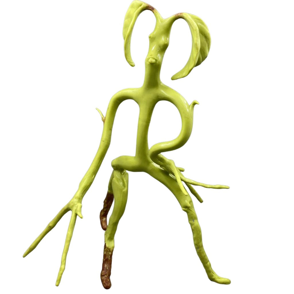 Figurina Animale Fantastice articulata IdeallStore®, Bowtruckle Friend, editie colectie, 18 cm - 1 | YEO