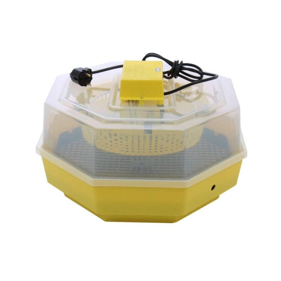 Incubator electric pentru oua cu dispozitiv dublu de intoarcere automat, termometru si hidrociclometru, Cleo, model 5X2-DTH
