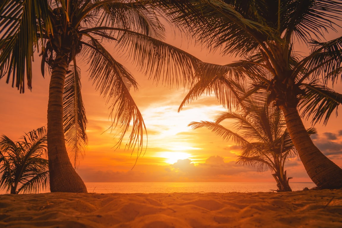 Fototapet, autocolant, Plaja 78 cu palmieri in apus de soare