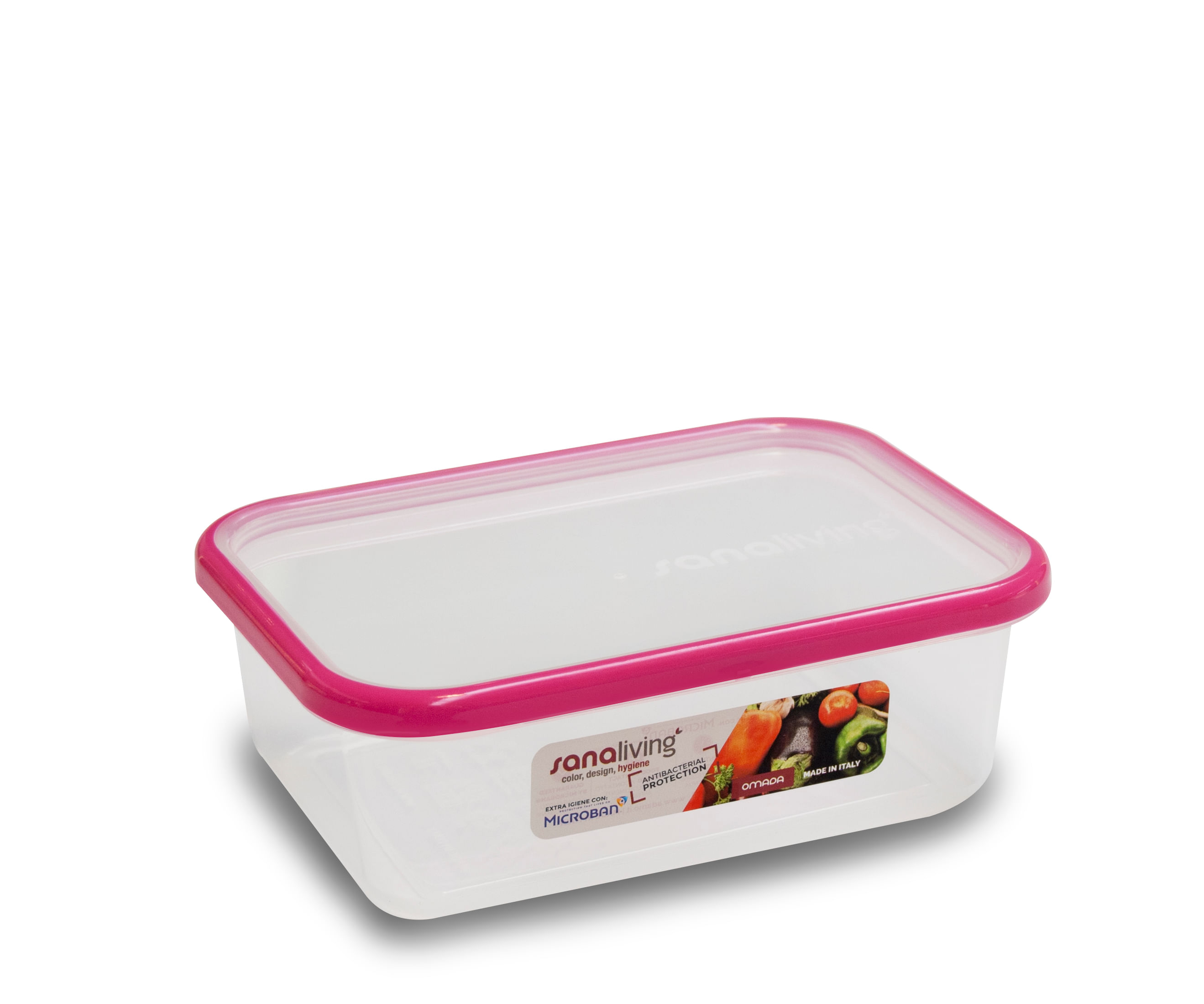 Cutie de conservare alimente Sanaliving 19x14x6,5 cm. 1L