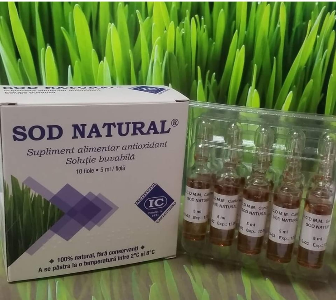 Sod natural, Institul Cantacuzino, extract orz verde, 10 fiole, pachet 4 cutii pentru 20 zile+gratis odorizant auto - 1 | YEO