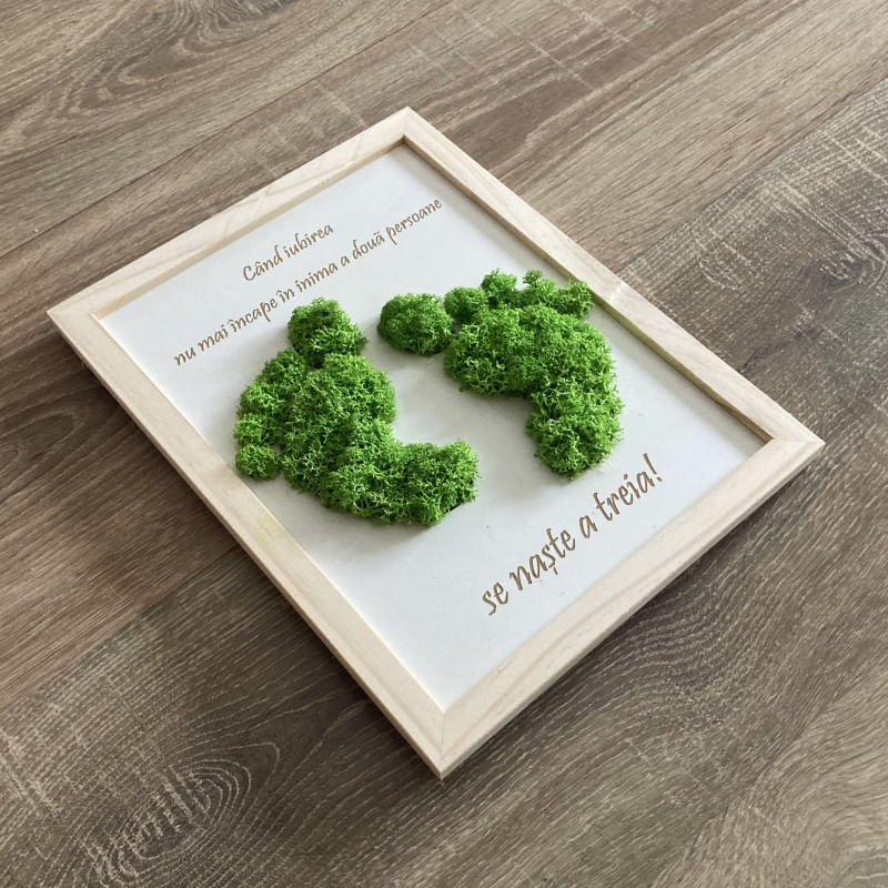 Tablou cu licheni naturali stabilizati si text, Cadou Bebelus, 20x25 cm