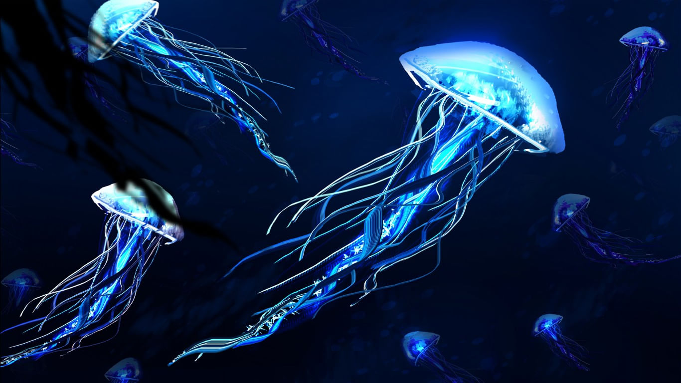 Autocolant, Meduze luminiscente
