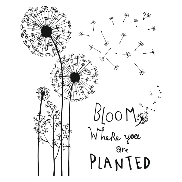 Sticker bloom where you are planted, decorativ, negru, 117 x 97
