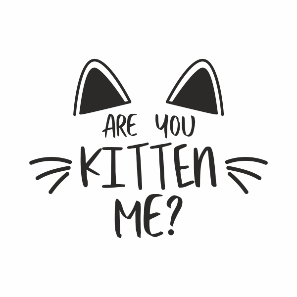 Sticker pentru perete, are you kitten me, decorativ, negru, 57 x 75