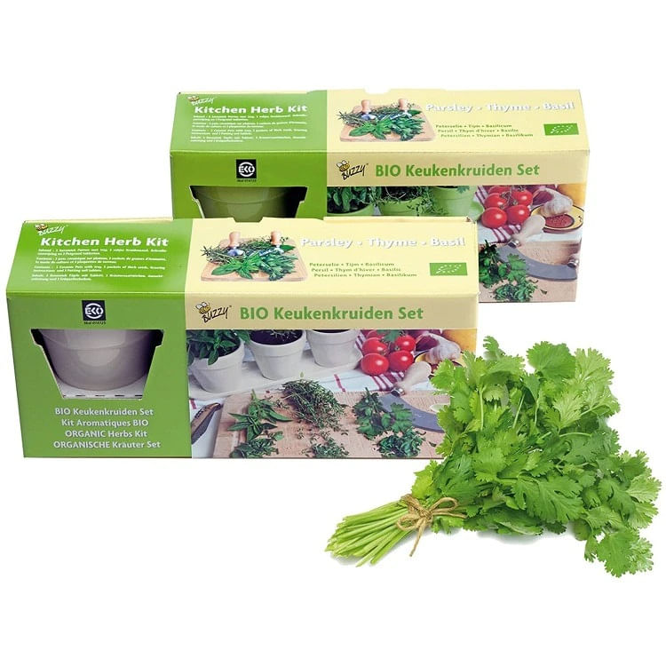 Mix de plante aromatice, Organic Kitchen Herbs - 1 | YEO