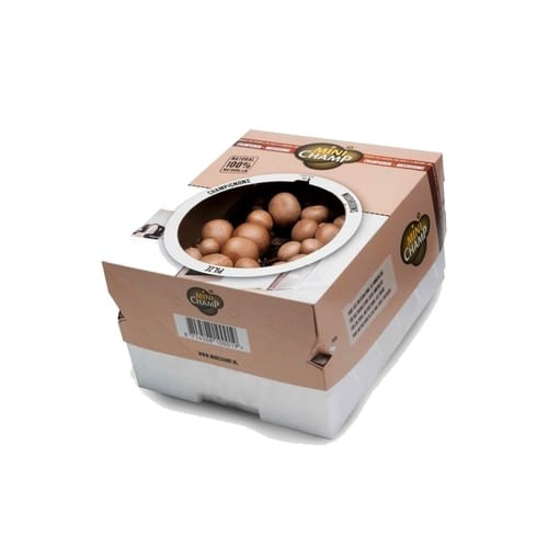 Set de crestere ciuperci, Mini Champignon Brun de Paris, 7.5 l