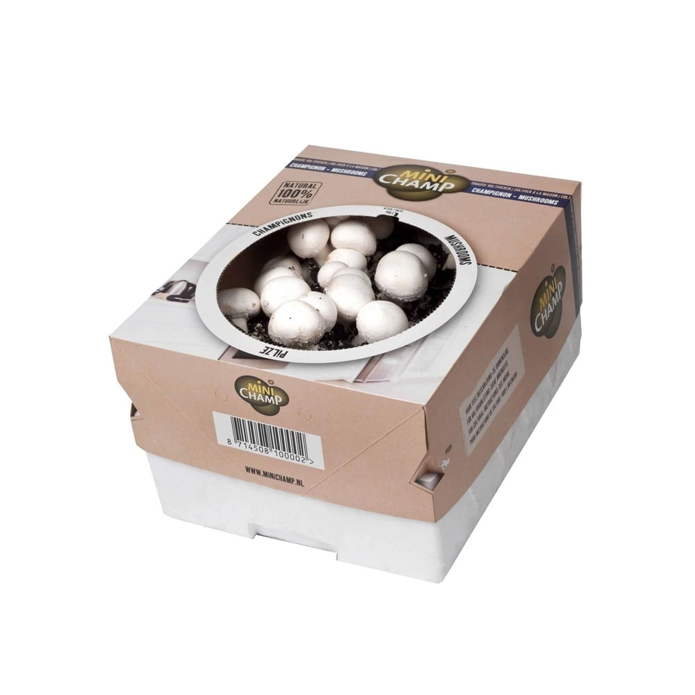 Set de crestere ciuperci, Mini Champignon White, 3 l