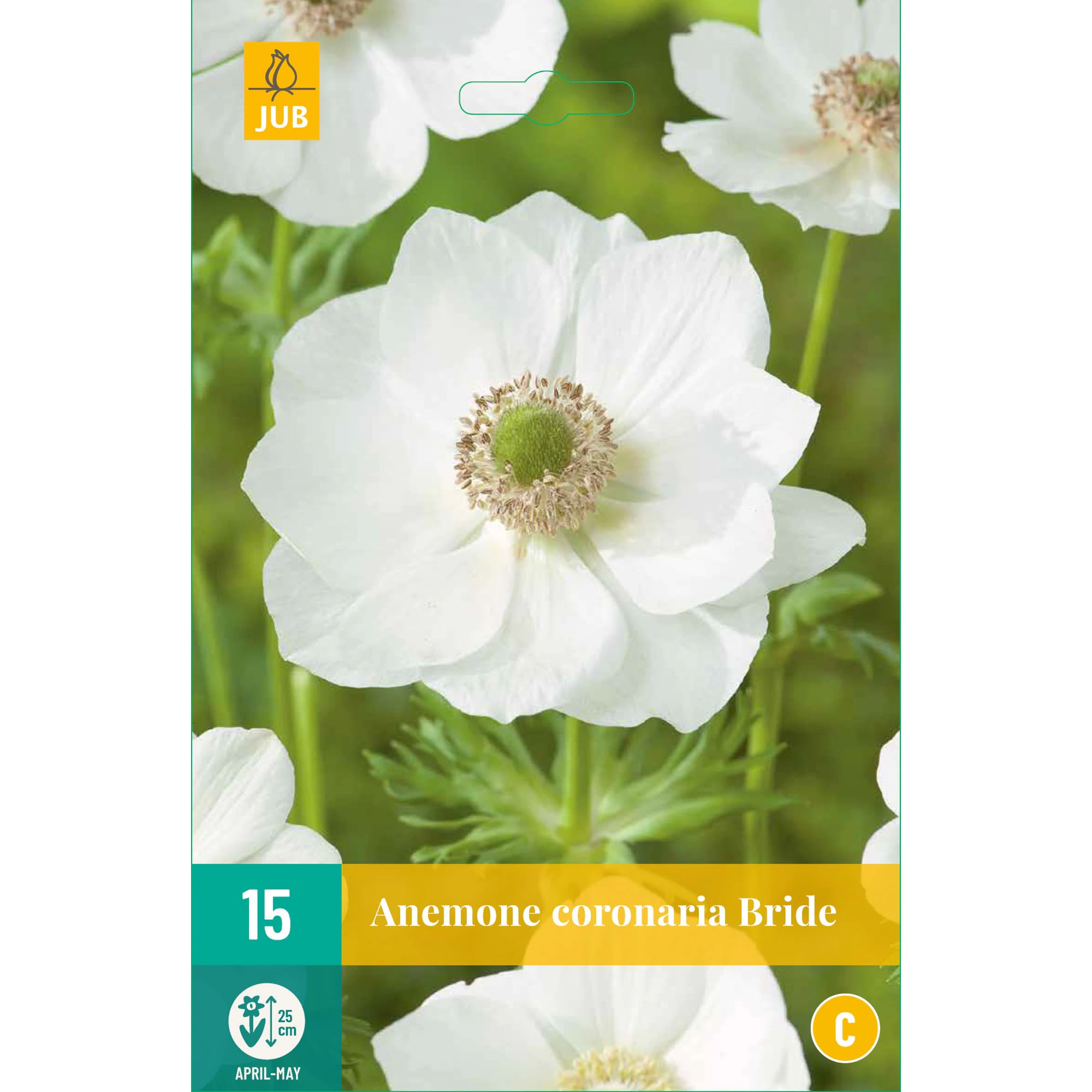 Amestec de seminte, Anemone Coronaria Bride