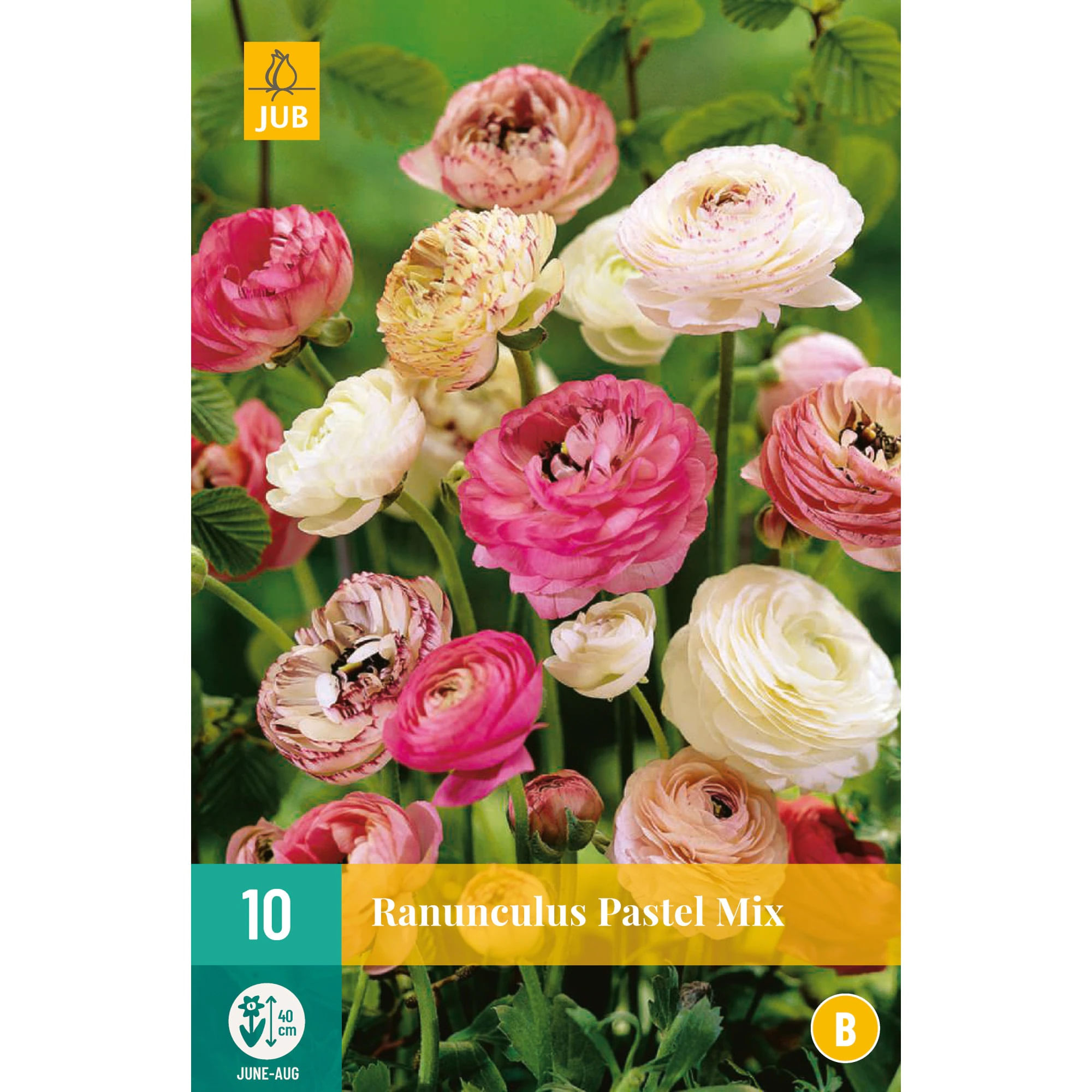 Amestec de seminte, Ranunculus Pastel Mix