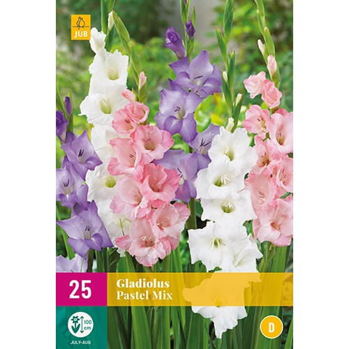 Amestec de seminte, Gladiole Pastel Mix