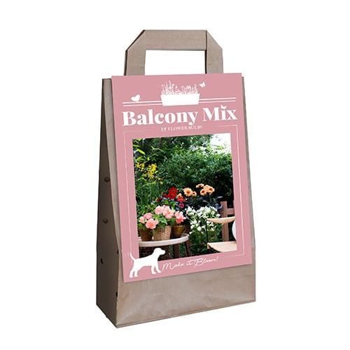 Bulbi de vara pentru balcon, Mix Pink Kiek