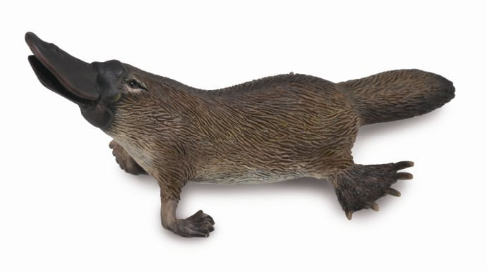 Ornitorinc Platypus M - Animal figurina