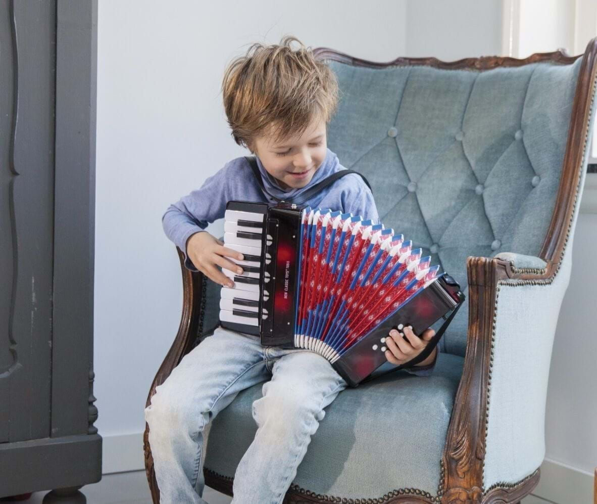 Acordeon mare - Instrument muzical copii - Negru - imagine 4