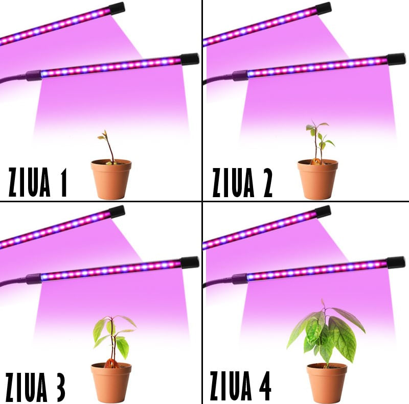 Lampa UV pentru Cresterea Plantelor , 4 picioare,120 LED-uri,40w,Temporizator,Corp Reglabil, Clips,Adaptor USB,Lumina UV — imaginea 8