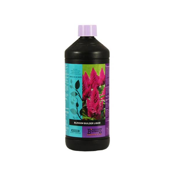 Stimulator de Inflorire, Atami Blossom Builder Liquid, 1 L