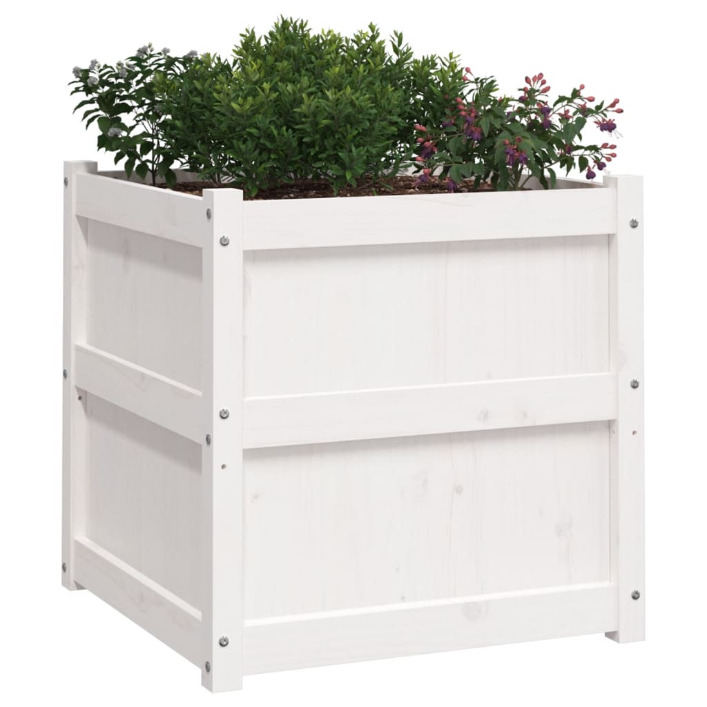 Jardiniere de gradina, 2 buc., alb, lemn masiv de pin — imaginea 4