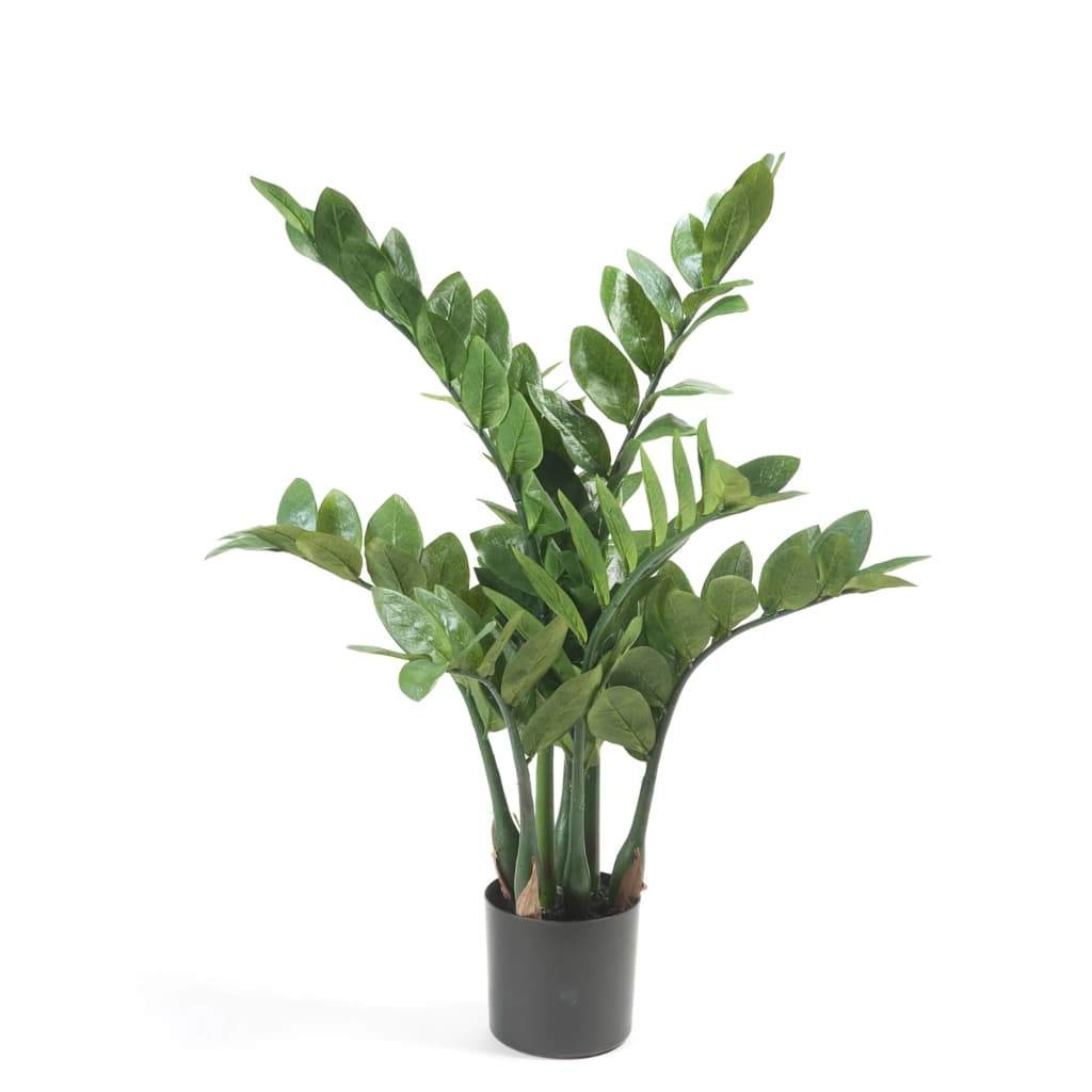 Emerald Planta Zamioculcas artificiala, 70 cm - 1 | YEO