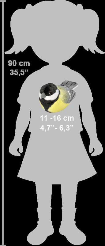 Pasare cu sunet Pitigoi Mare - GREAT TIT