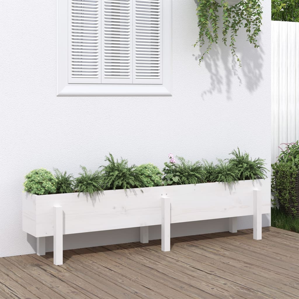 Strat inaltat de gradina, alb, 160x30x38 cm, lemn masiv de pin — imaginea 2