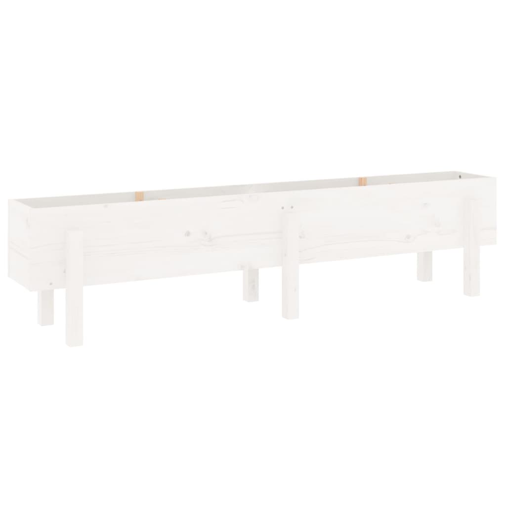 Strat inaltat de gradina, alb, 160x30x38 cm, lemn masiv de pin — imaginea 4
