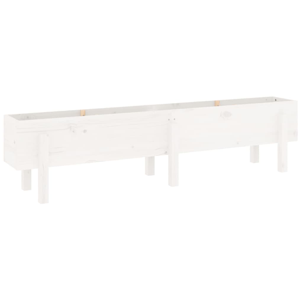 Strat inaltat de gradina, alb, 160x30x38 cm, lemn masiv de pin — imaginea 10