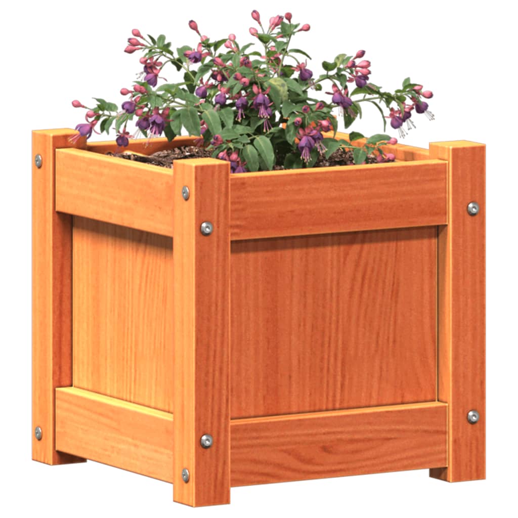 Jardiniera de gradina, maro ceruit, 31x31x31 cm, lemn masiv pin — imaginea 15