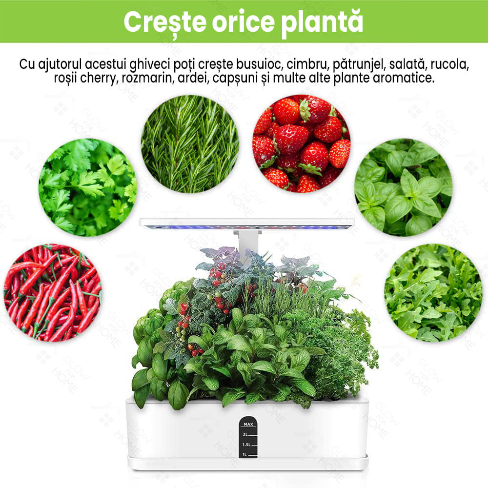 Ghiveci hidroponic cu lampa UV de crestere a plantelor la interior, 12 orificii plante, inaltime reglabila, 36W - 2 | YEO