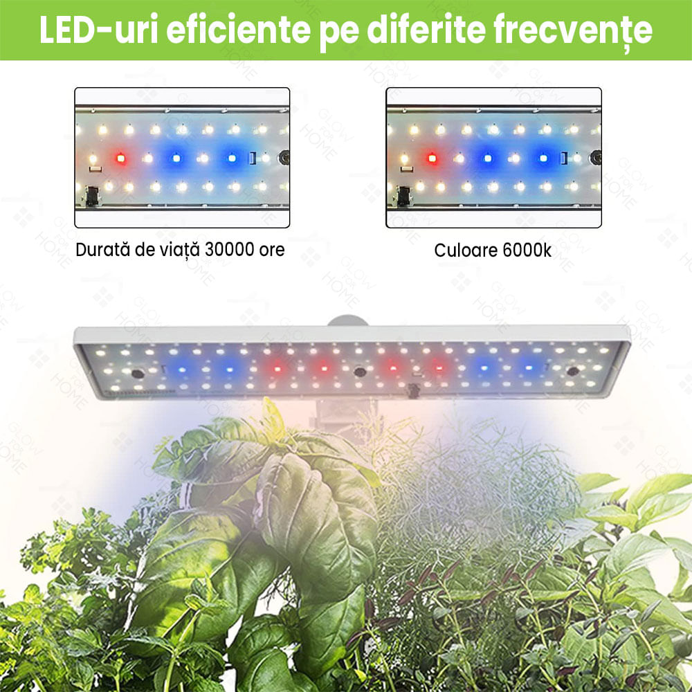 Ghiveci hidroponic cu lampa UV de crestere a plantelor la interior, 12 orificii plante, inaltime reglabila, 36W - 3 | YEO