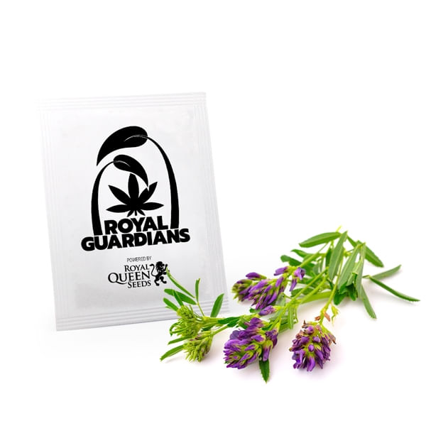 Pachet de 5 tipuri de seminte pentru un soil bogat , Royal Guardians Growth Pack - 2 | YEO