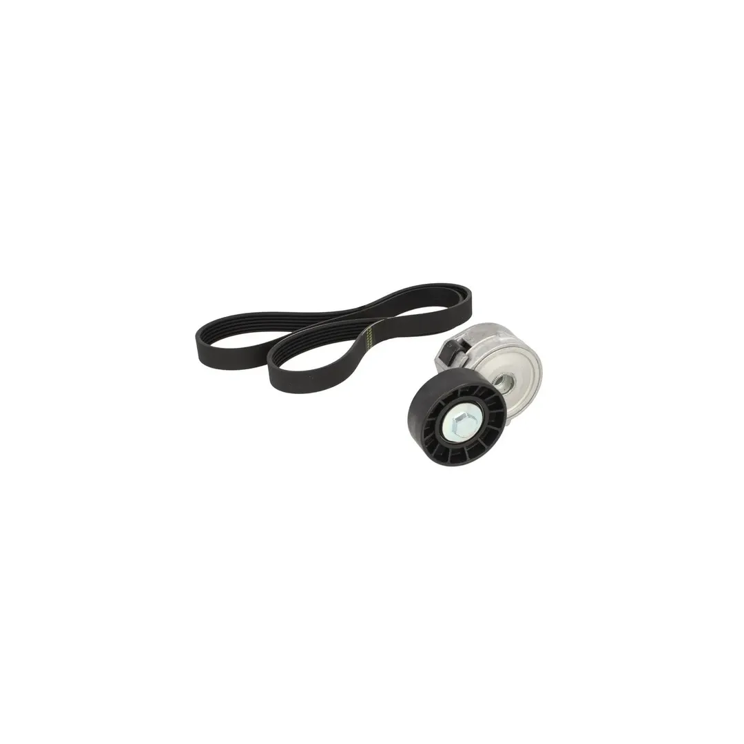 Set Curea transmisie CITROEN C5 III RD DAYCO KPV179