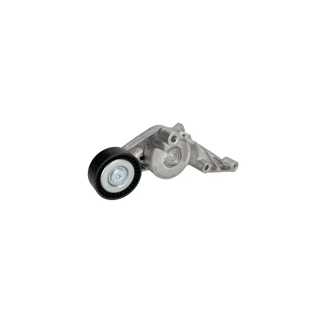 Intinzator curea AUDI A3 Sportback 8PA DAYCO APV2501