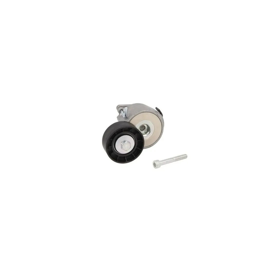 Intinzator curea FIAT DUCATO caroserie 250 290 DAYCO APV1156