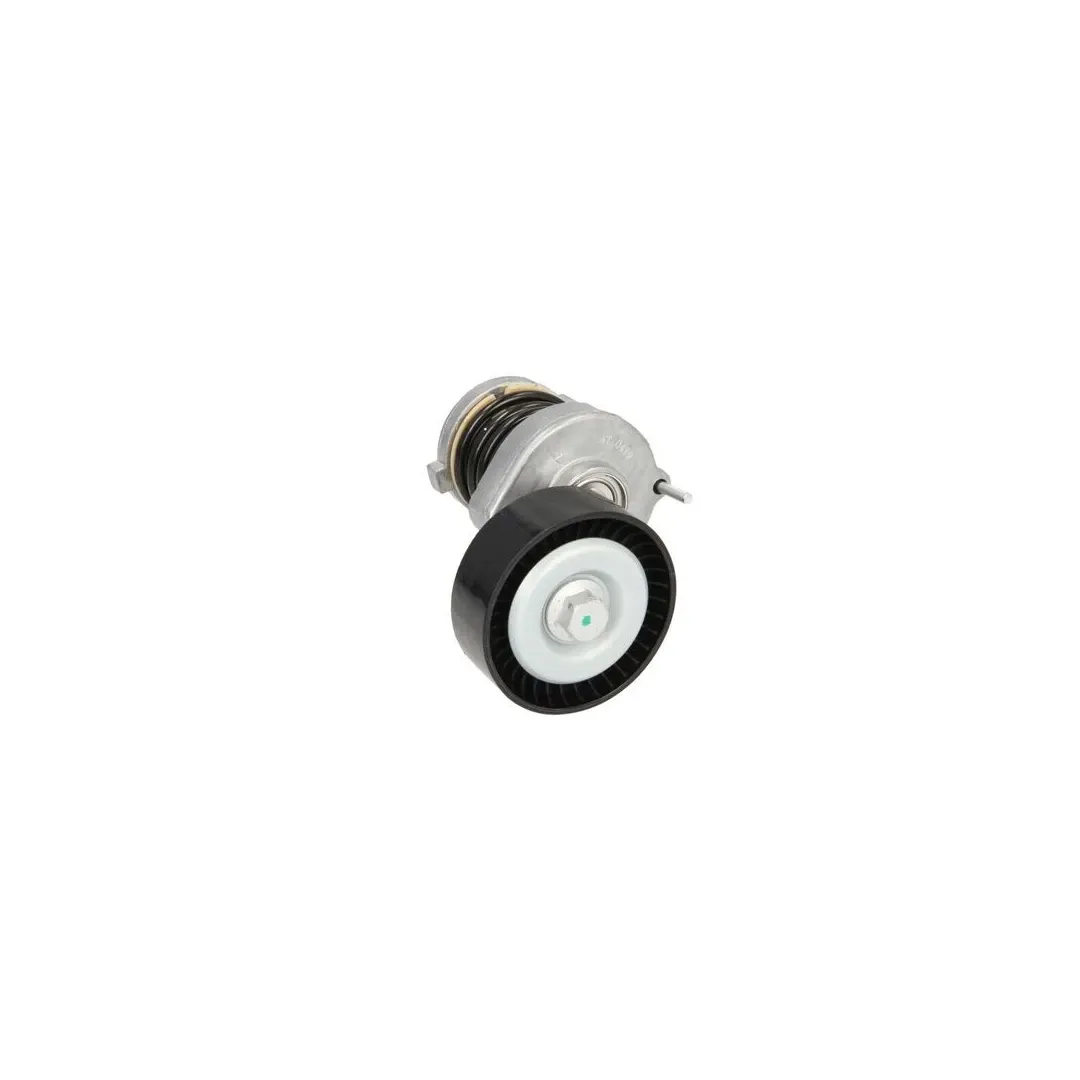 Intinzator curea SEAT IBIZA IV 6L1 DAYCO APV2511