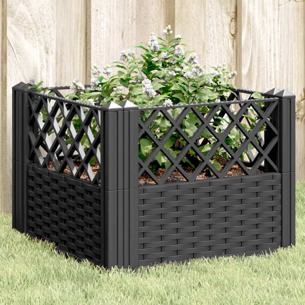 Jardiniera de gradina cu spalier, negru, 43,5x43,5x43,5 cm, PP — imaginea 2