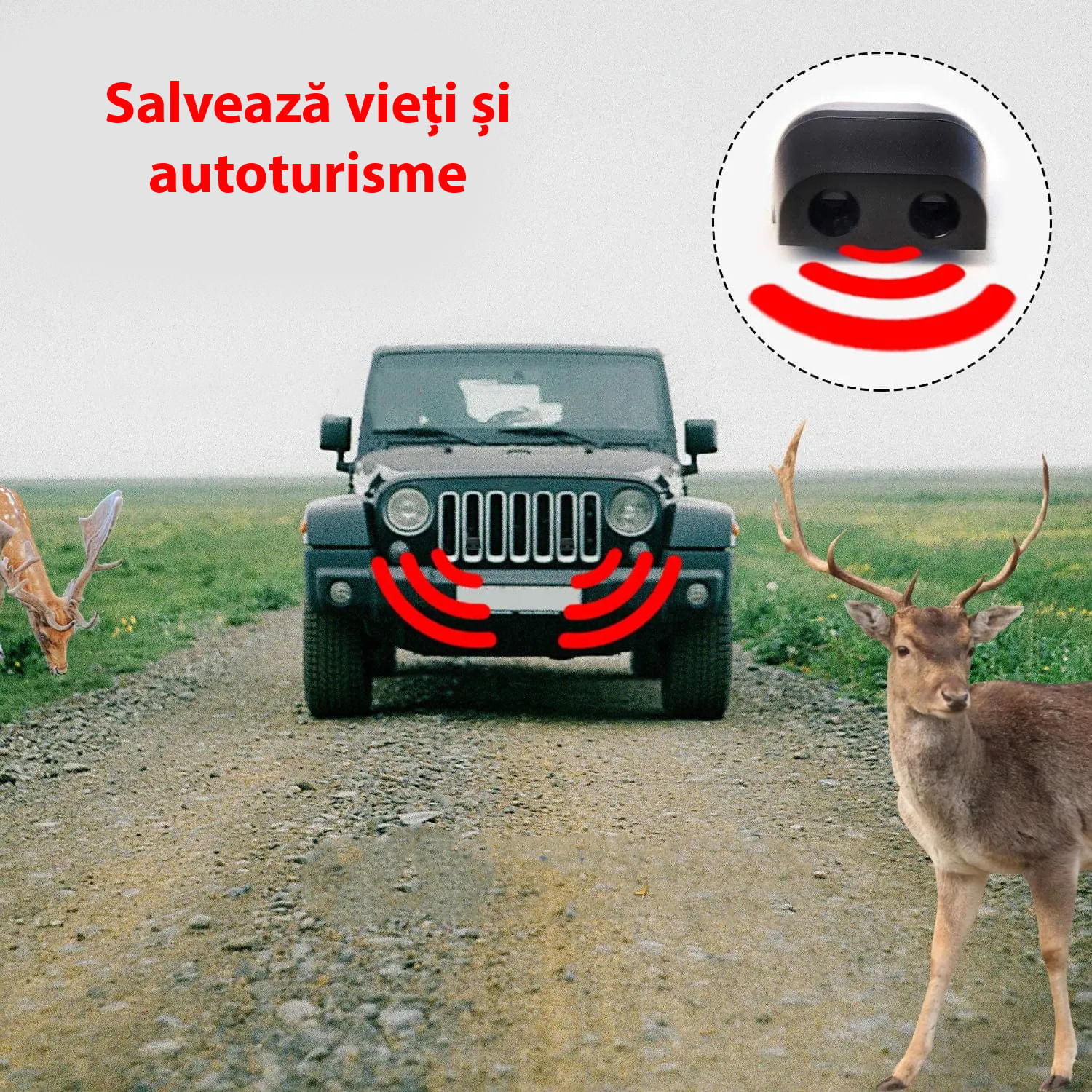 Avertizor sonor animale BYNOVIS®, activat de vant, accesoriu auto, ultrasunet, indeparteaza animale salbatice - 3 | YEO