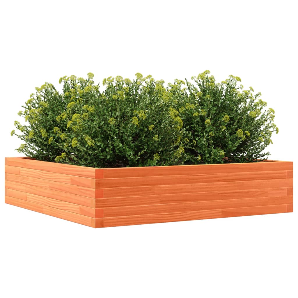 Jardiniera de gradina, maro ceruit, 100x100x23cm lemn masiv pin — imaginea 4