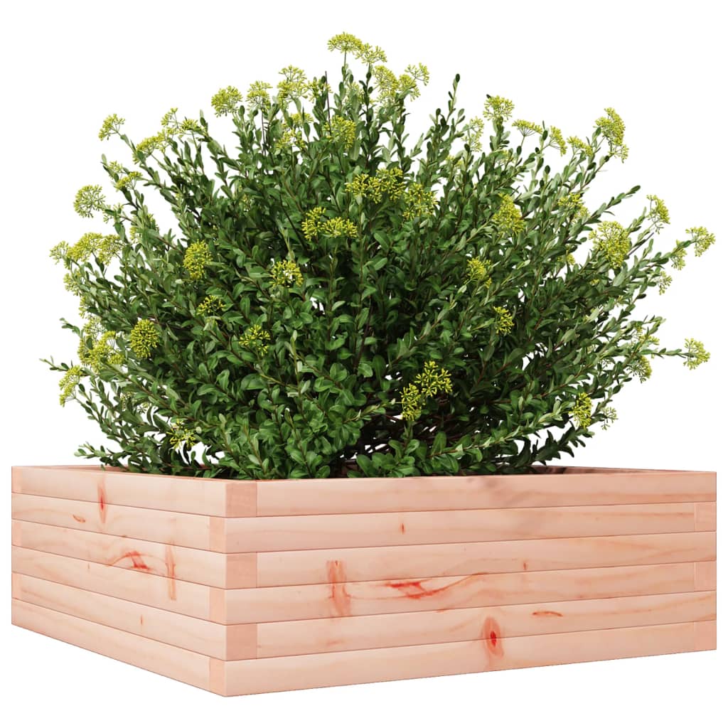Jardiniera de gradina, 70x70x23 cm, lemn masiv Douglas — imaginea 4