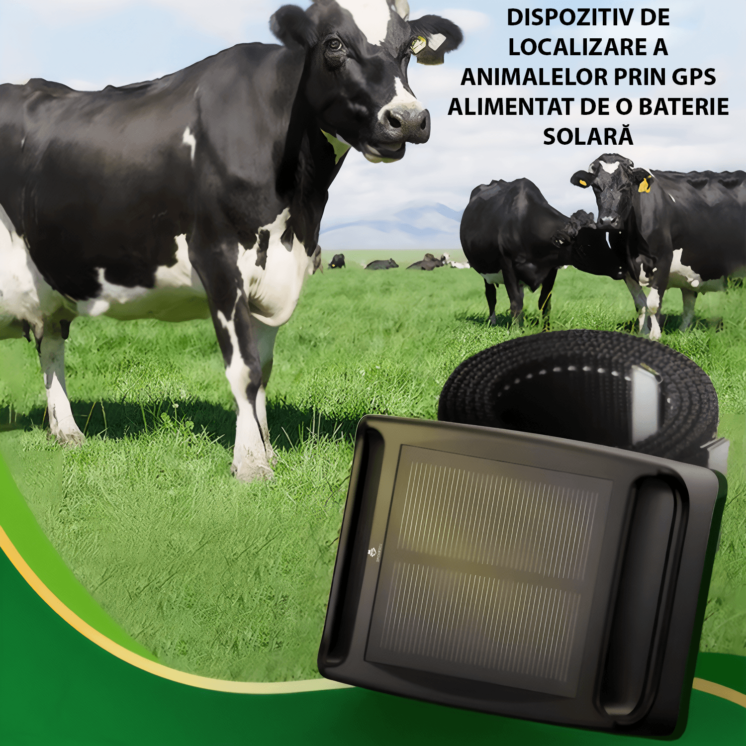 GPS Tracker solar cu zgarda, Q19, 4G, pentru animale mari, cai, bovine, ovine, perimetru de siguranta, istoric ruta - 2 | YEO