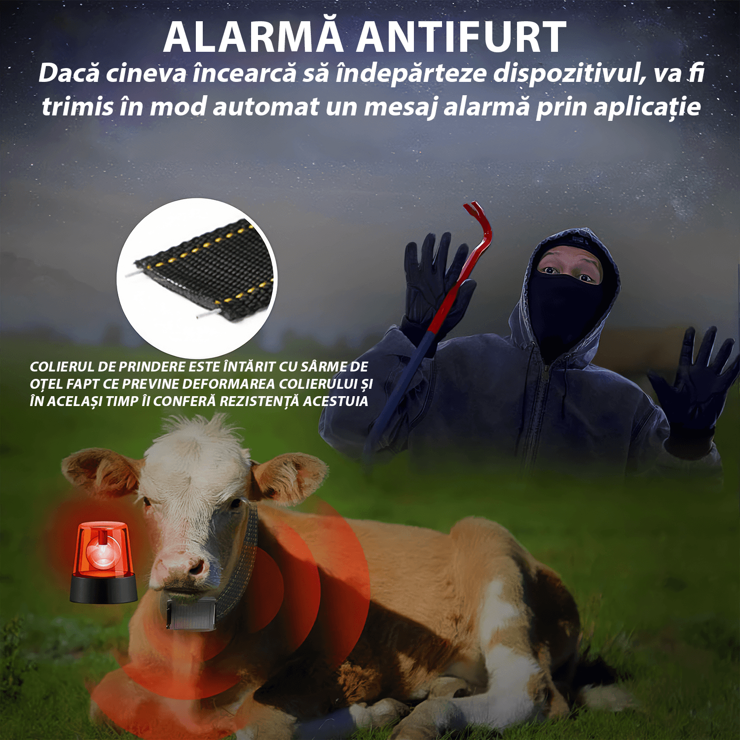 GPS Tracker solar cu zgarda, Q19, 4G, pentru animale mari, cai, bovine, ovine, perimetru de siguranta, istoric ruta