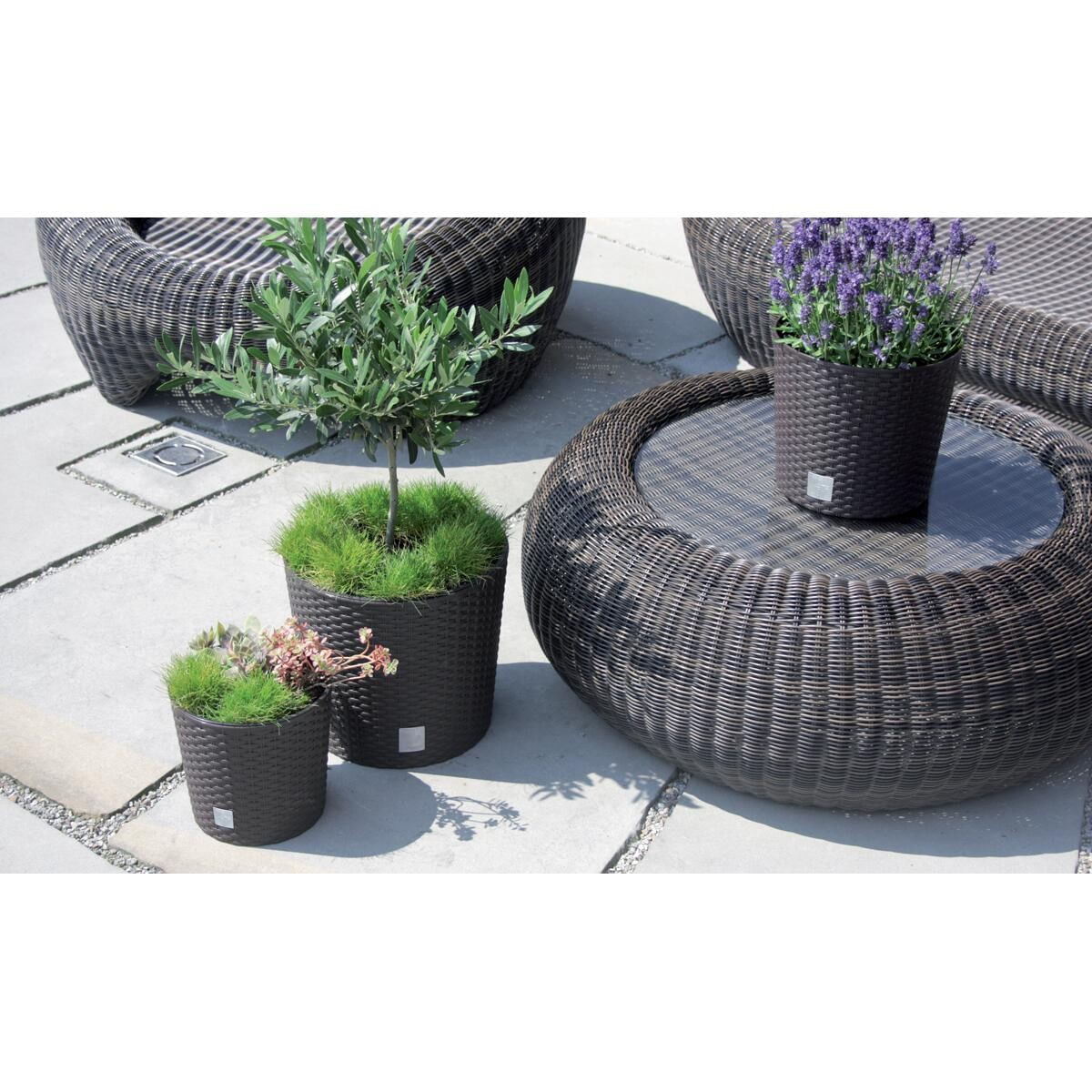 Ghiveci decorativ de flori, Prosperplast, Rato, imitatie ratan, rotund, maro inchis, 30x27 cm — imaginea 3