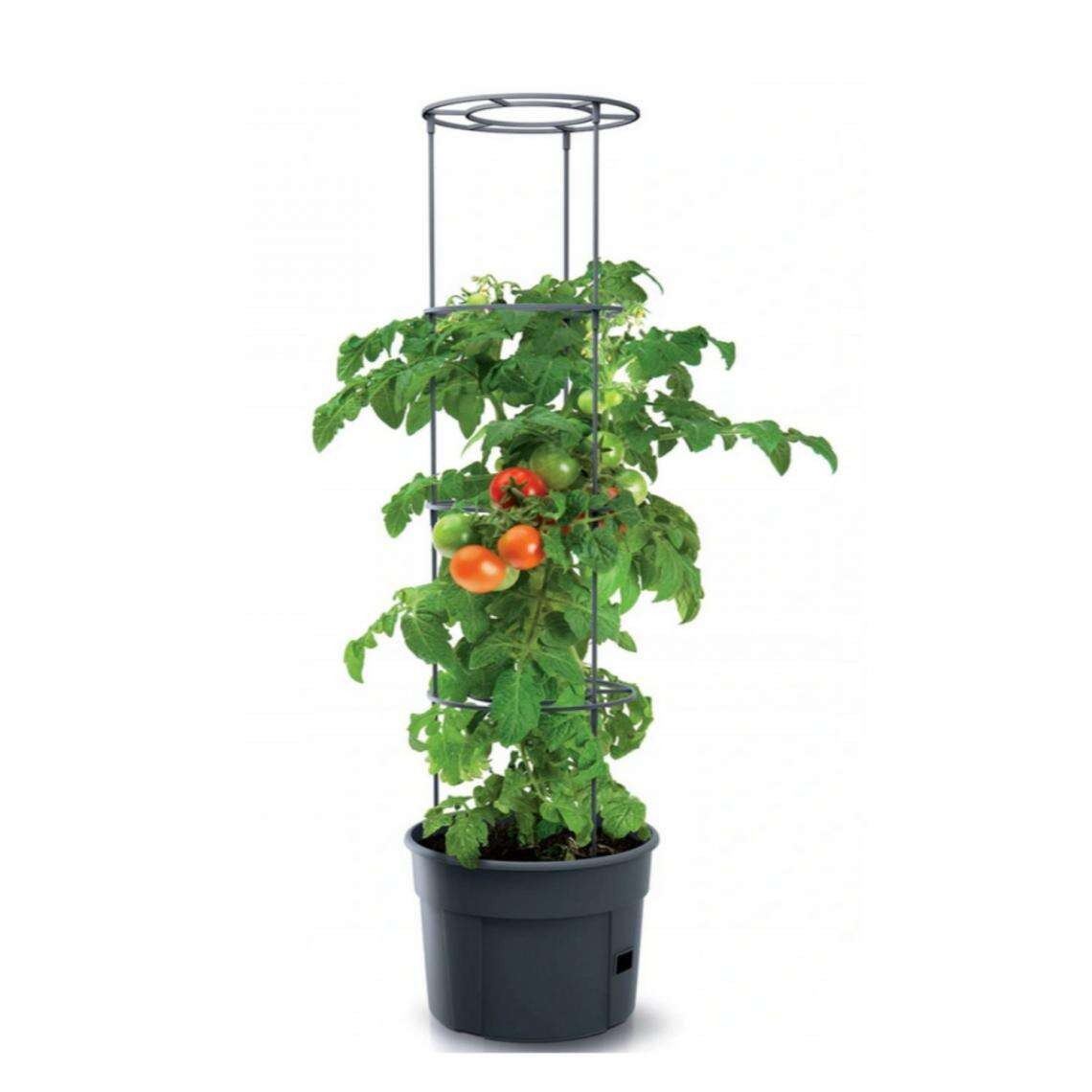 Ghiveci cu suport tip sera pentru rosii, 21 piese, 29.5x24.5x1152cm, Prosperplast — imaginea 3