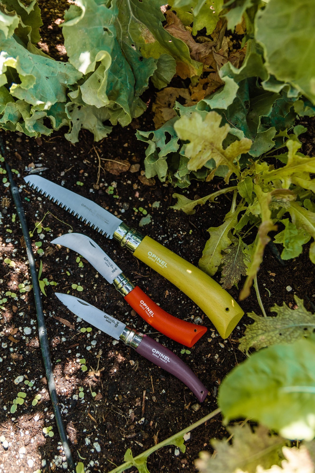Set 3 cutite de gradinarit, inox - Opinel — imaginea 3