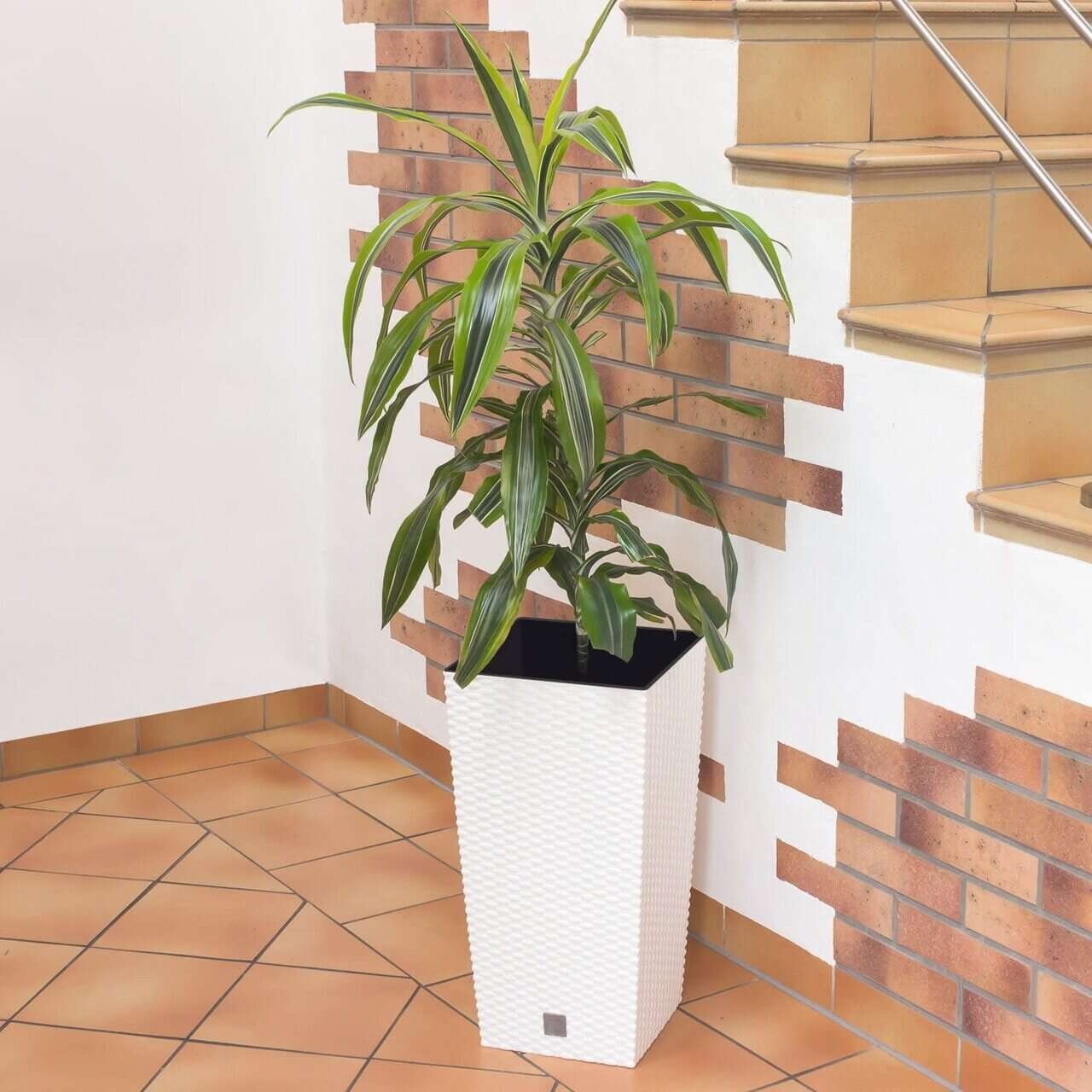 Ghiveci de flori patrat, RATO square, 32.5 x 32.5 cm, H 61 cm, 21/49 L, imitatie ratan, alb, Prosperplast — imaginea 5