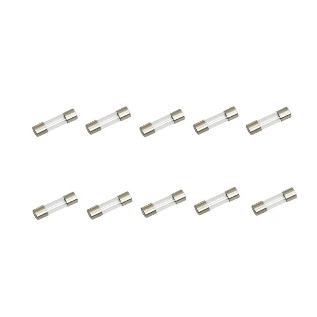 Set 10 sigurante temporizate 10A-T 5X20mm