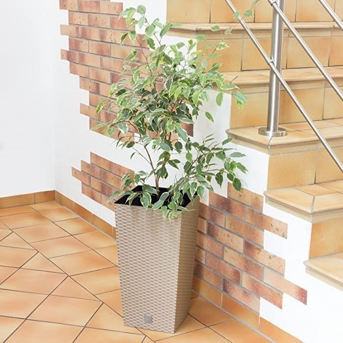 Ghiveci decorativ de flori, Prosperplast, Rato, imitatie ratan, patrat, cafeniu, 22.5x22.5x42.1 cm — imaginea 4