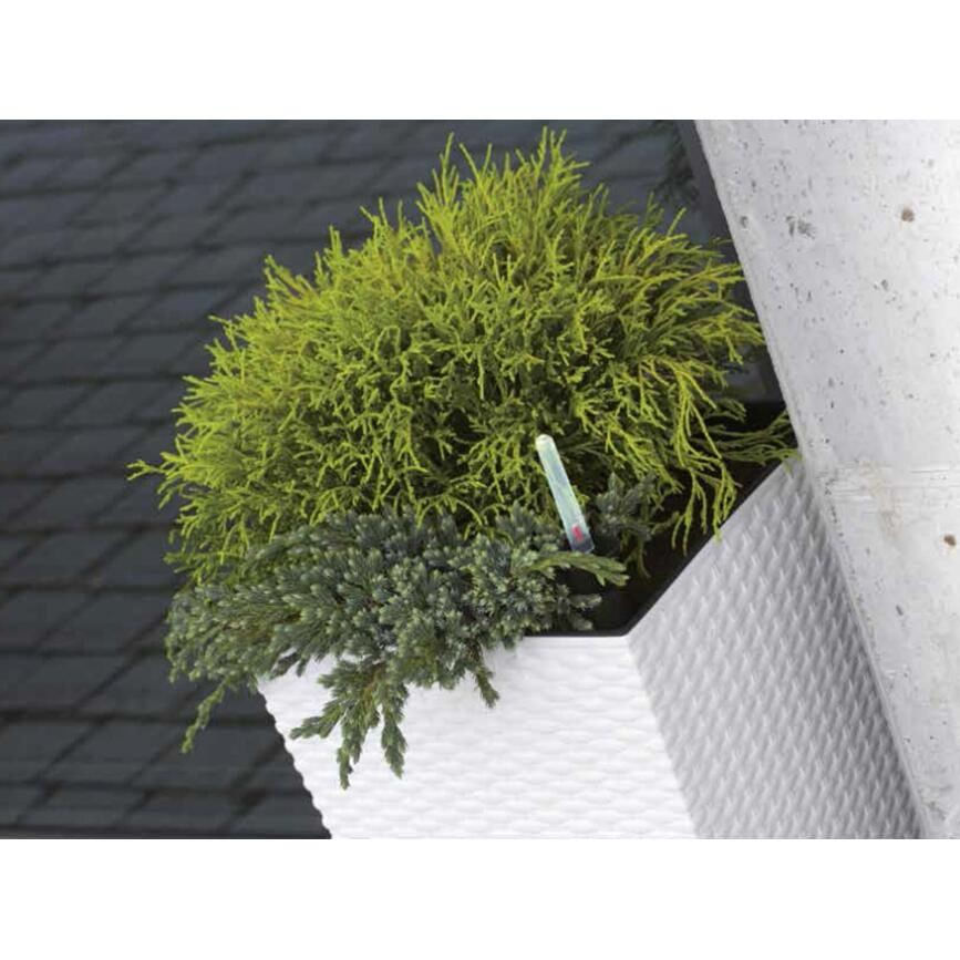 Ghiveci de flori, Prosperplast, Rato Low, patrat, 32 L, imitatie ratan, alb, 32x32x32.5 cm — imaginea 4