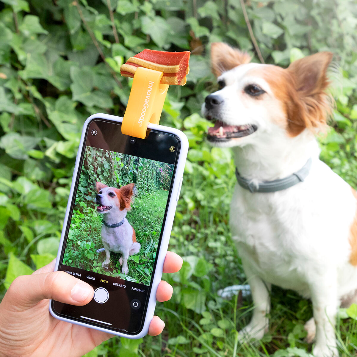 Clema Selfie pentru animale de companie Pefie InnovaGoods