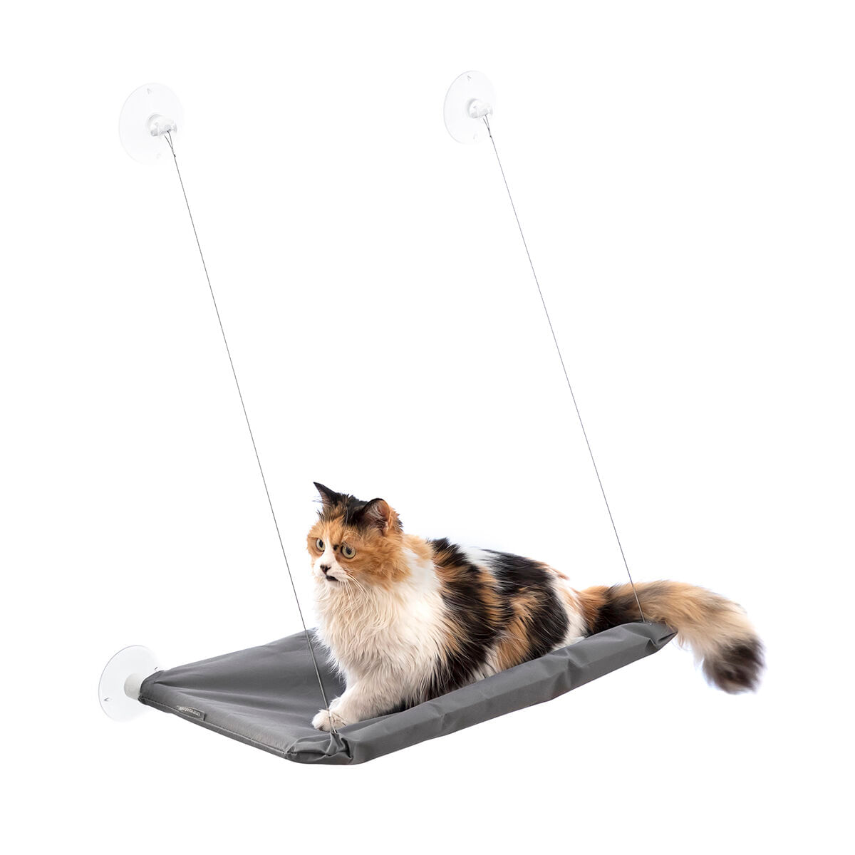 Hamac suspendat pentru pisici Catlax InnovaGoods - 3 | YEO