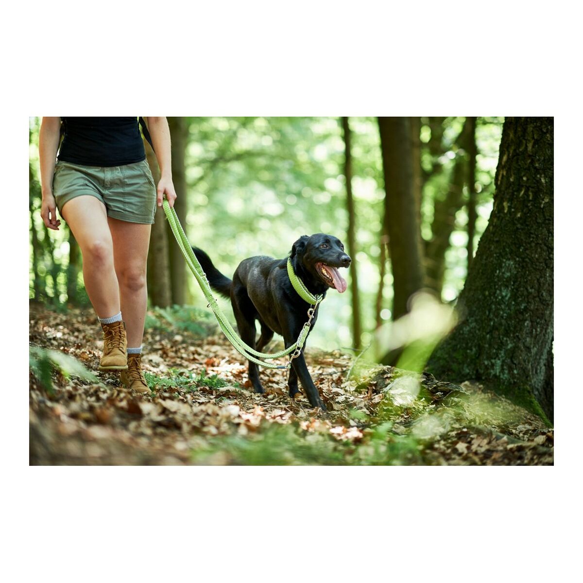 Lesa pentru caine Hunter HILO Lamaie verde (200 cm) - 2 | YEO